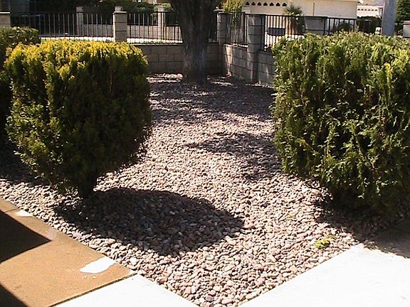 3rd image of 140 Teresa Cir