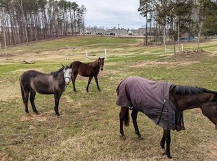 1105 Doc Nichols Rd, Durham, NC 27703