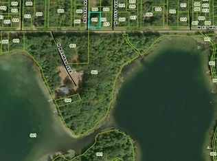 V/l W Mile Rd #11, Bitely, MI 49309
