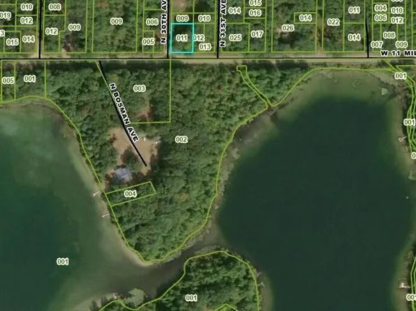 V/l W Mile Rd #11, Bitely, MI 49309