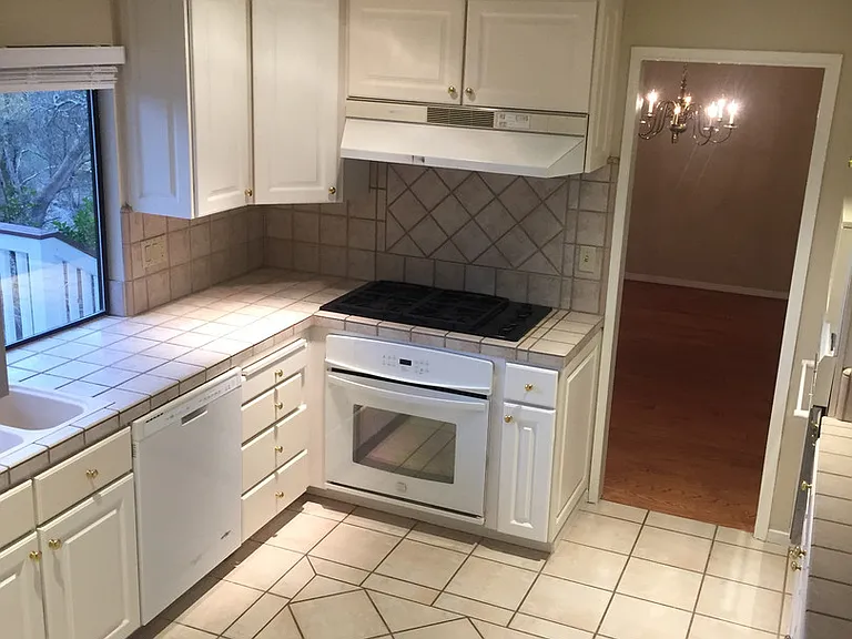 110 Rock Ravine Ct — Photo 3
