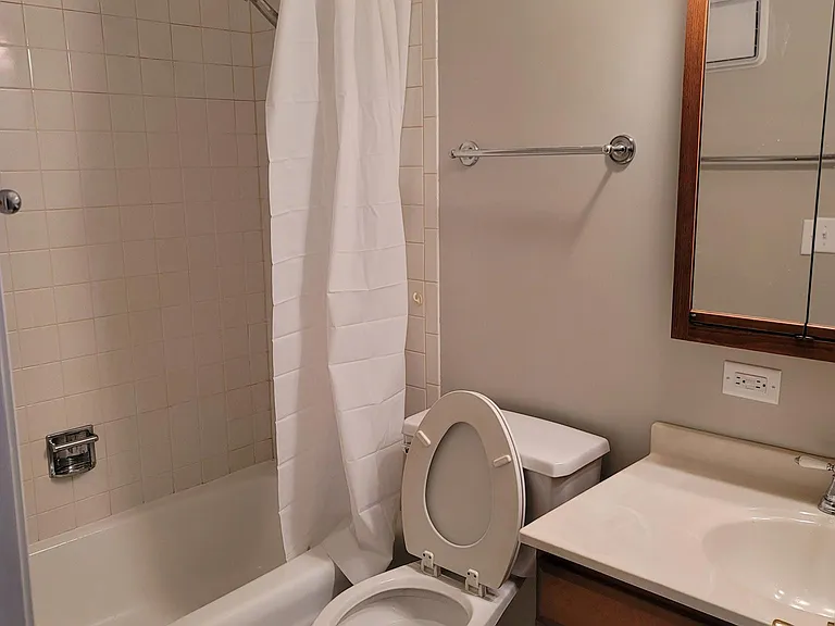 433 Green Tree Pkwy — Photo 8