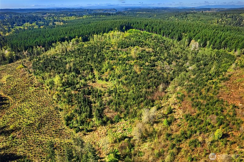 4th image of 0 40 acres 185th Avenue SE