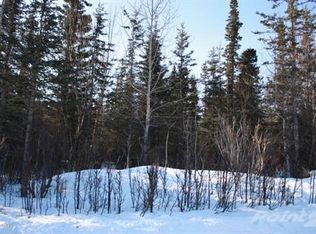 13850 E Wilderness Ln, Palmer, AK 99645