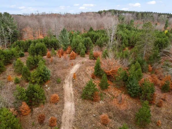 18 Road, Manton, MI 49663