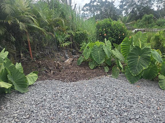 3rd image of King Kamehameha Blvd Lot 2