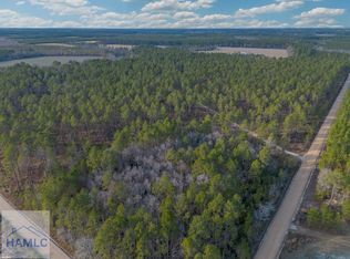 5 Reddish Rd, Odum, GA 31555