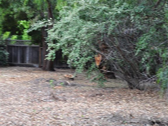5th image of 15401 Via Colina