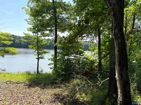 62/ACRE S County Road 628, Cedar Bluff, AL 35959