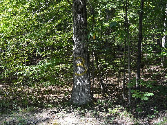 2nd image of 3 Rolling Mill Rd