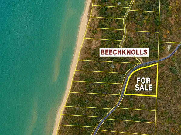 V L Lakeshore Rd, Manistee, MI 49660