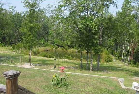 Pond