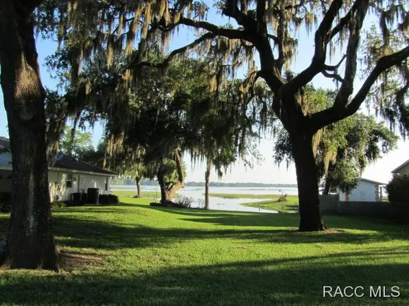 3820 E Orange Dr, Hernando, FL 34442