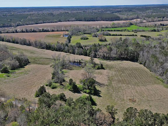 3rd image of Lebanon Rd