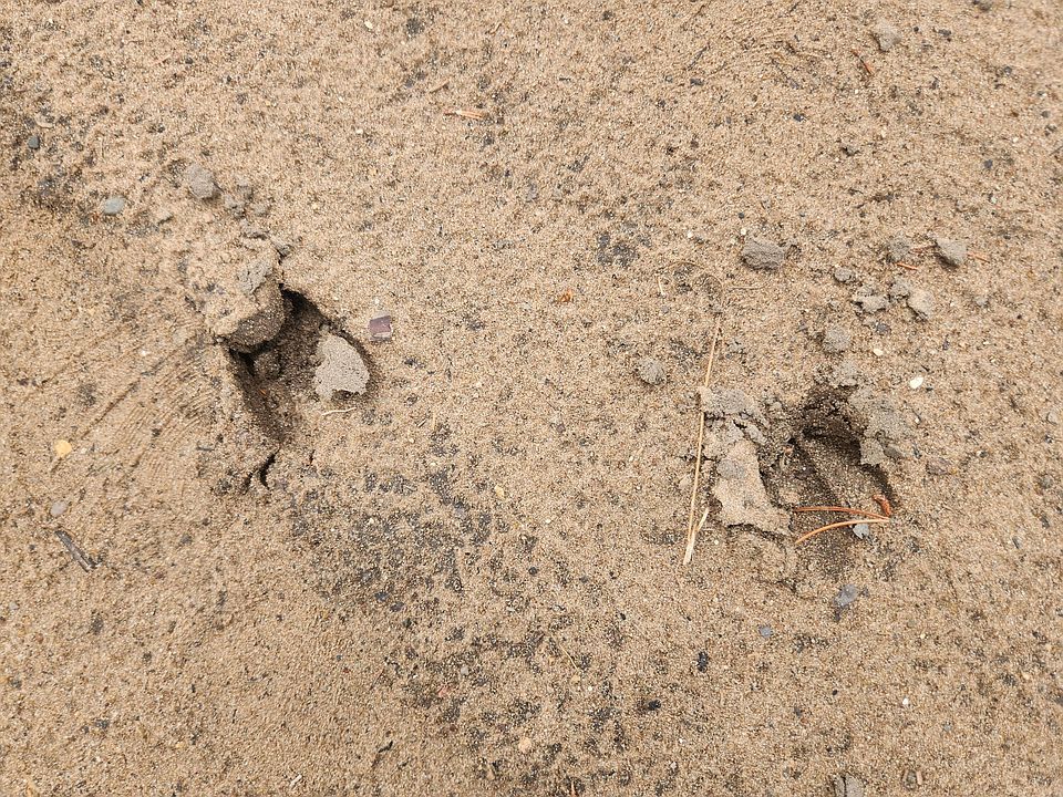 2nd image of PARCEL W 16th St #B