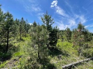 Badger Ridge Rd PARCEL 5, Orofino, ID 83544