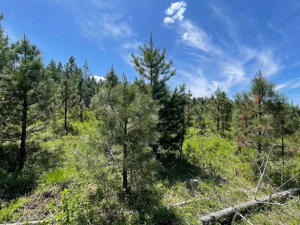 Badger Ridge Rd Parcel 5, Orofino, ID 83544