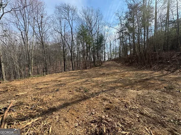 1450 Hanna Dr, Ranger, GA 30734