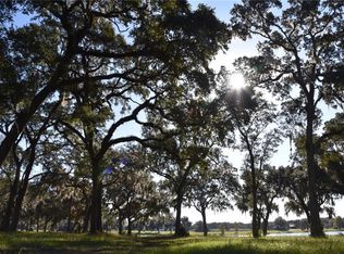 Off Hwy #301, Summerfield, FL 34491