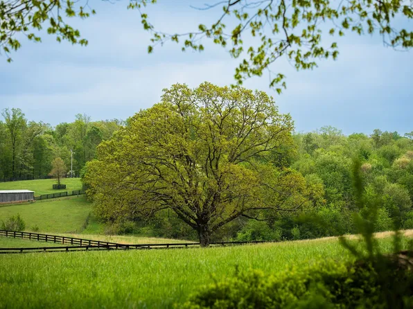 0 W Lick Creek Rd, Primm Springs, TN 38476