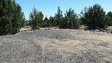 5th image of 5353 SW Dam Site Dr