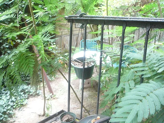 Rented by Kings Court Real Estate | media 53