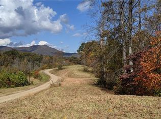 2 S Lindon Cove Rd, Candler, NC 28715