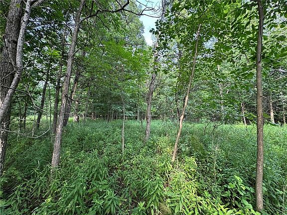 29th image of 2541 County Hwy D