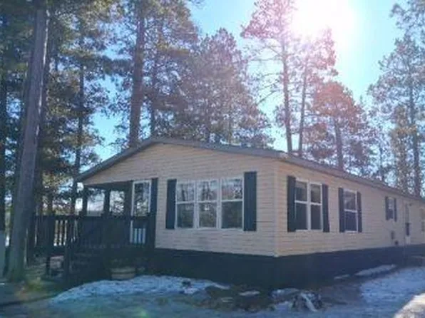 54432 Sandy River Dr, Leonard, MN 56652