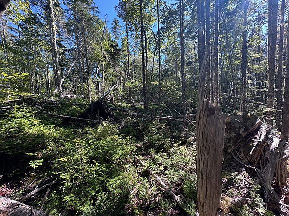 5th image of Stewarts Point Rd Lot 3