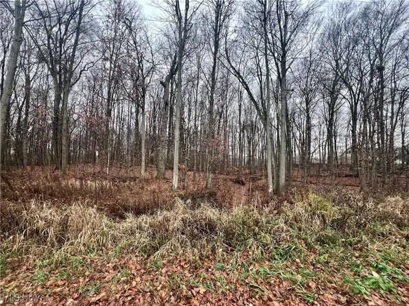 Stair Rd, West Salem, OH 44287