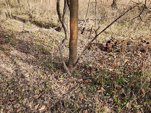 Messenger Creation 8927cb94 985c 4d5c 8d21 5b32ea66ca5b