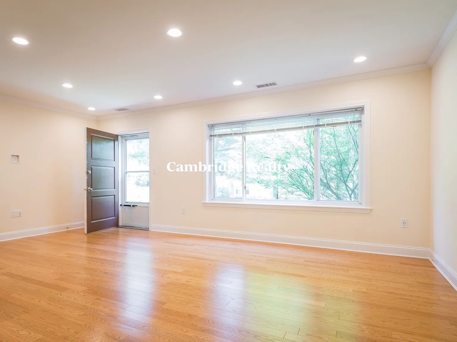 2 bed, 1.0 bath, 911 sqft, $3,710 — Photo 4