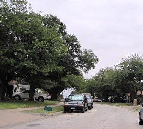 2nd image of 611 Thrush Ave
