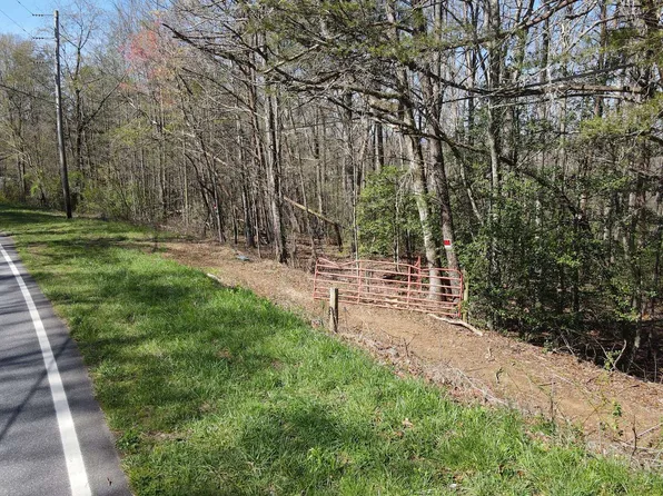 Township Road 1 Hardscrabble Rd, Mineral Bluff, GA 30559