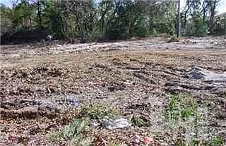 2nd image of 501 Risley Road