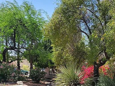 3rd image of 11064 N Garland Cir