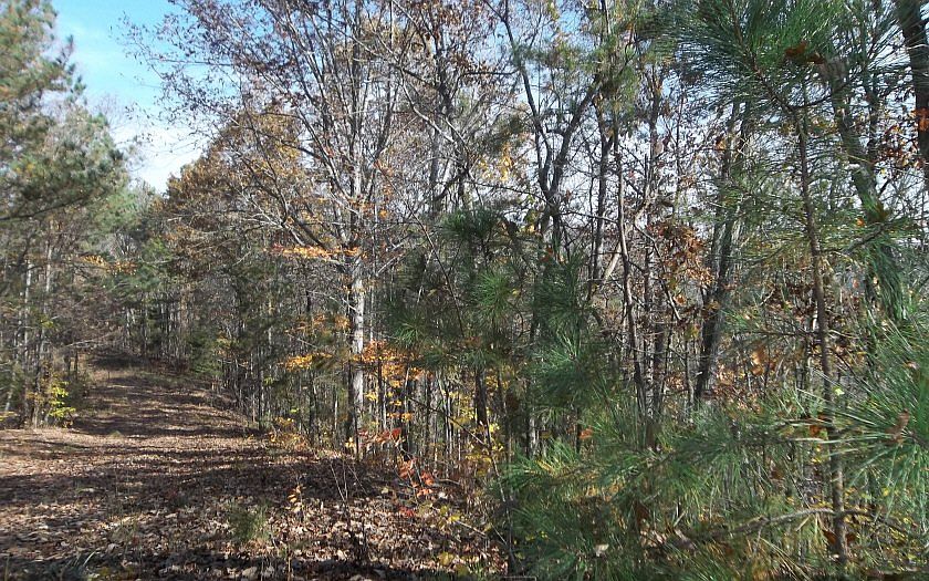 1st image of 16142 Highway 136