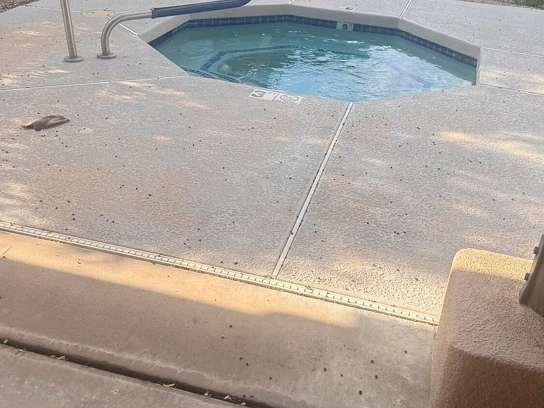 12438 N Saguaro Blvd #212 — Photo 47