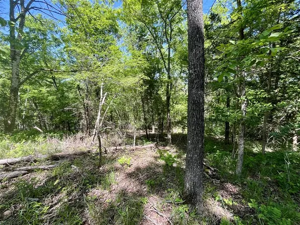Thunderbird Ln #35, Eureka Springs, AR 72631