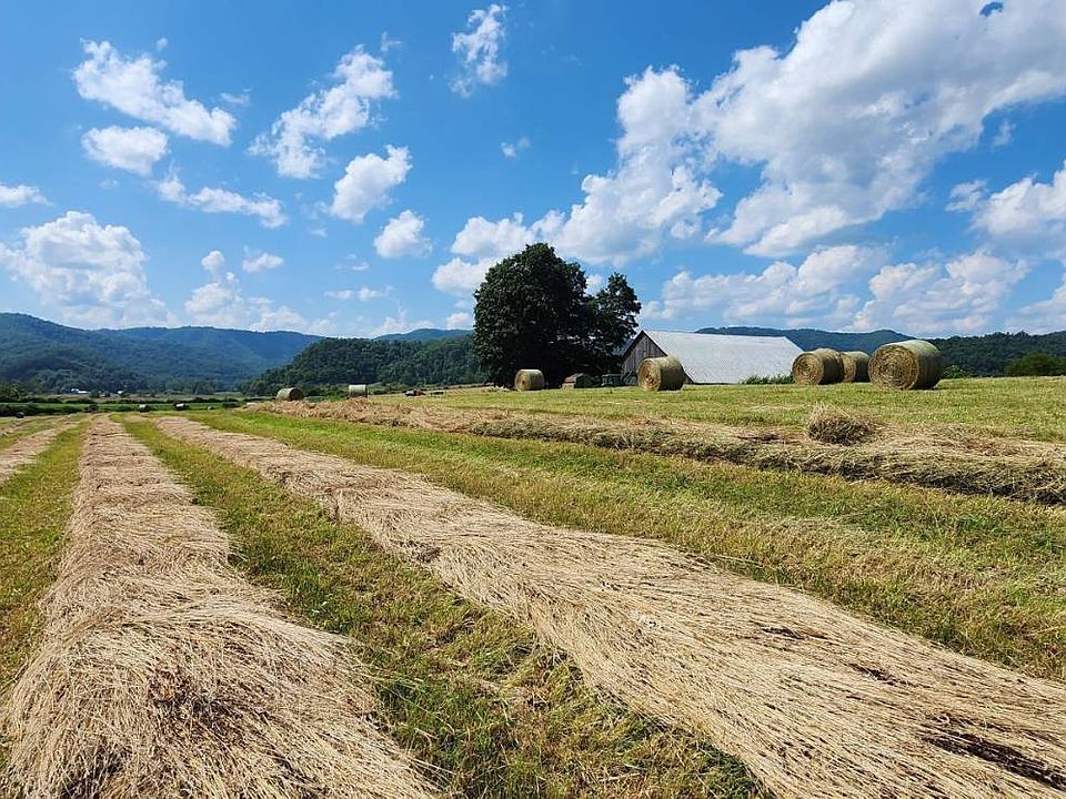 10th image of this home