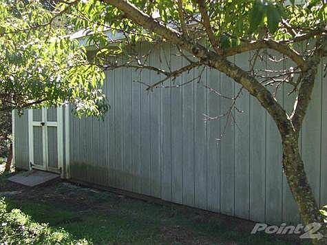 Side entrance to shed