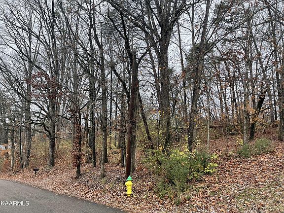 5th image of 0 Millard Beets Rd NW Lot 1