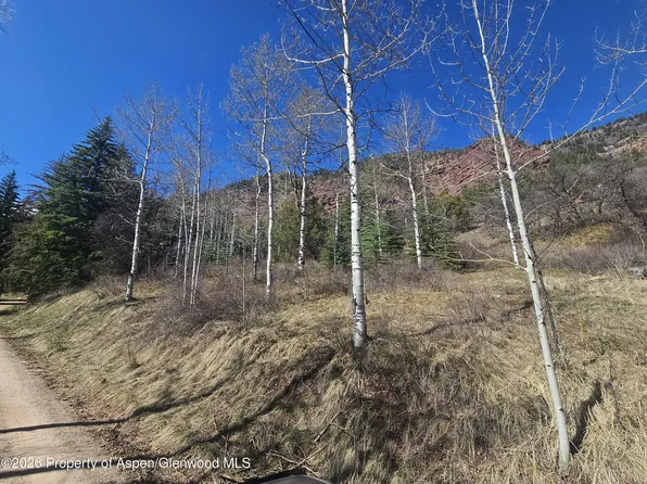 Tbd Bear Creek Ln, Redstone, CO 81623