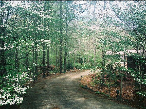 Entry Drive in Spring