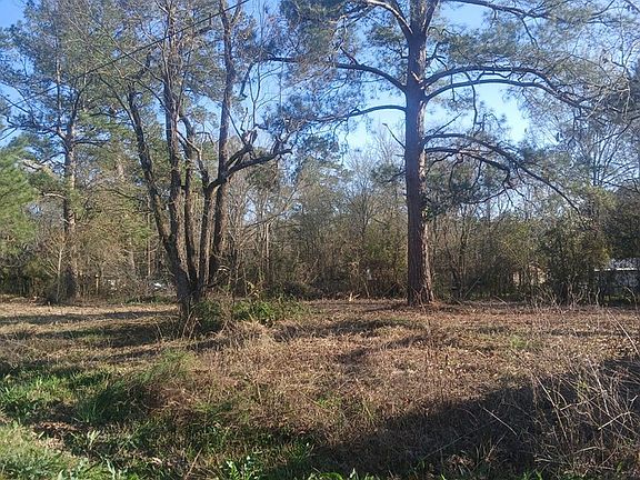 2nd image of 0 W Maple St