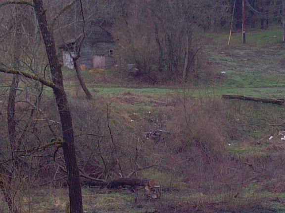 From Beaver Creek Rd