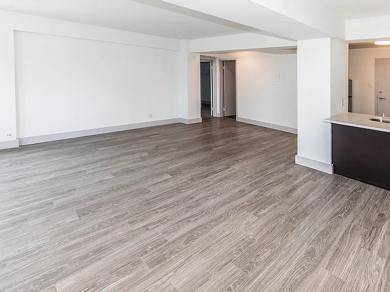 Dining/Living room