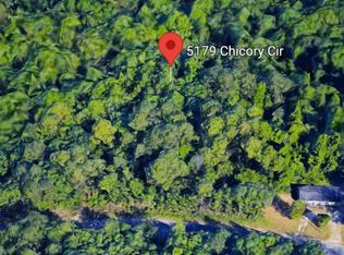 5179 Chicory Cir, Middleburg, FL 32068