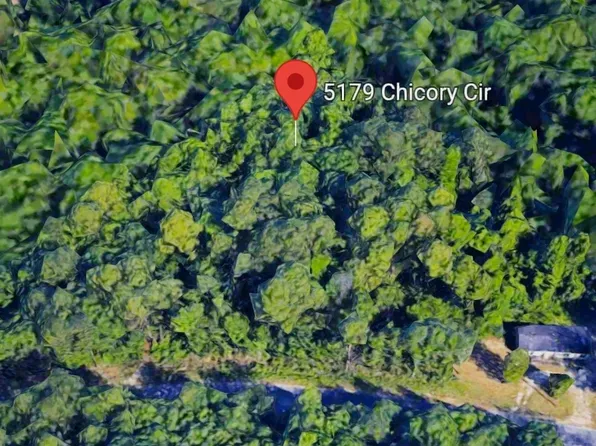 5179 Chicory Cir, Middleburg, FL 32068